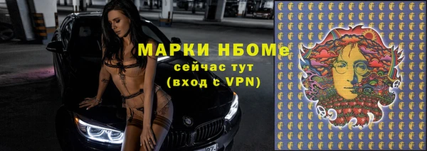 хмурый Алзамай