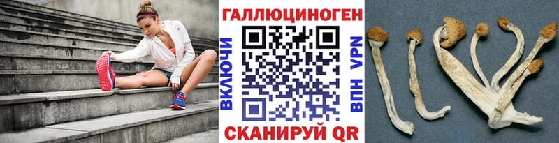 цена наркотик Серов kraken как войти Псилоцибиновые грибы прущие грибы